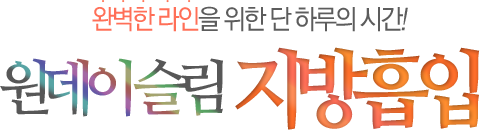 완벽한 라인을 위한 단 하루의 시간! 원데이슬림 지방흡입